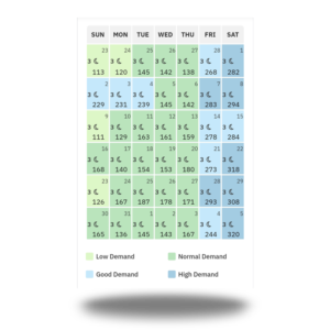 Dynamic Pricing